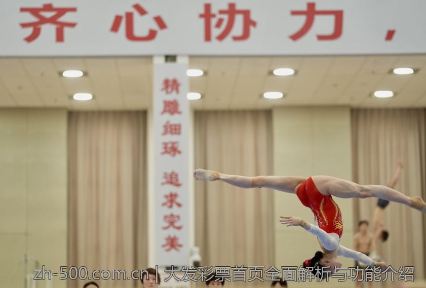 大发彩票首页全面解析与功能介绍