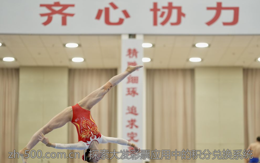 探索大发彩票应用中的积分兑换系统